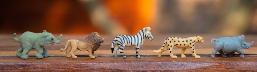 a-line-of-toy-animals-used-for-play-therapy